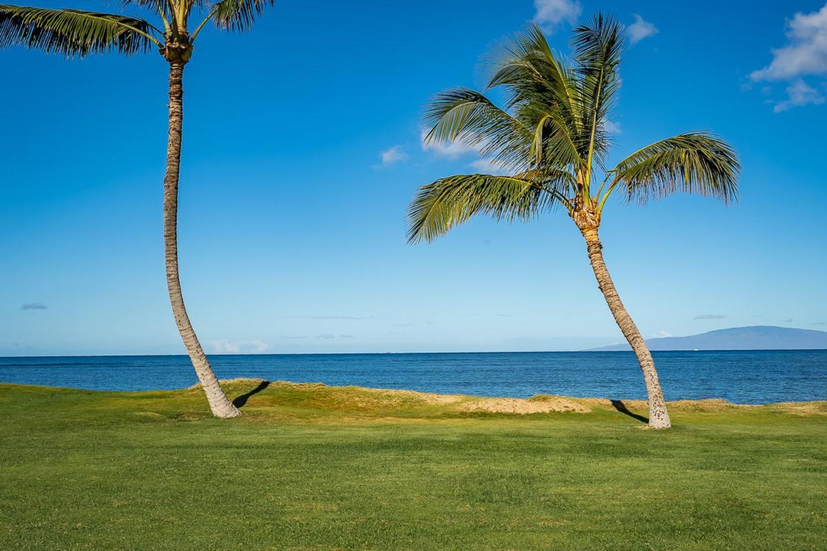 Maui Sunset B-115 Lägenhet Kihei Exteriör bild