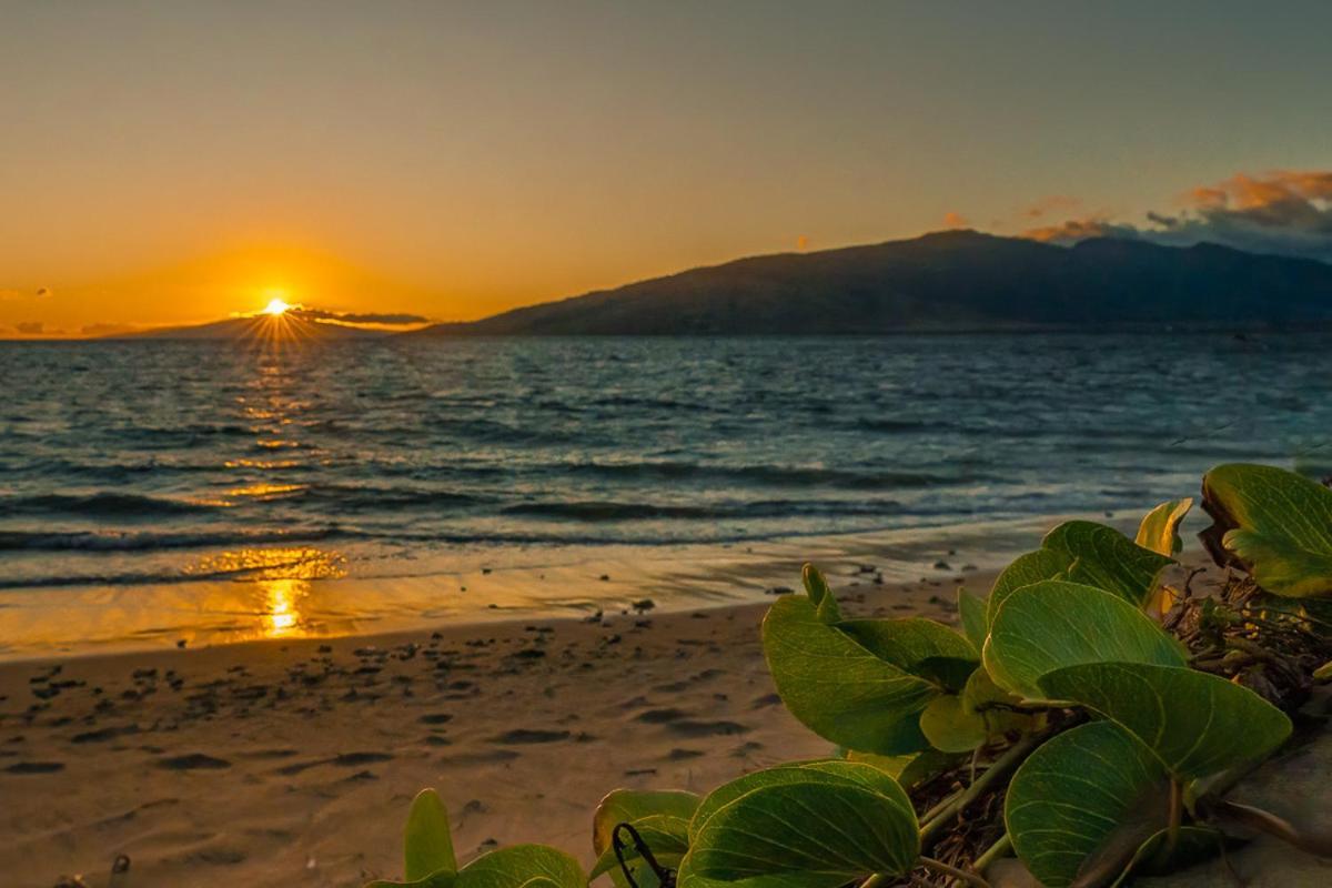 Maui Sunset B-115 Lägenhet Kihei Exteriör bild
